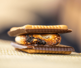 cookies with smore inbetween 